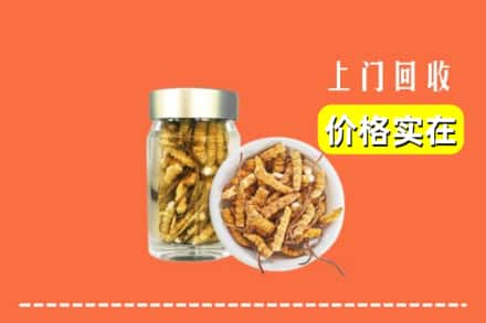 收购资讯:镇江市扬中回收散虫草
