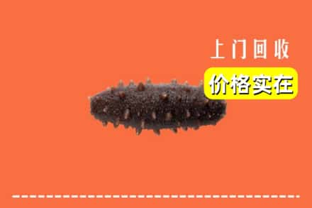 收购资讯:镇江市扬中回收海参