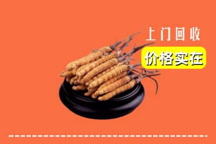 收购资讯:镇江市扬中回收冬虫夏草