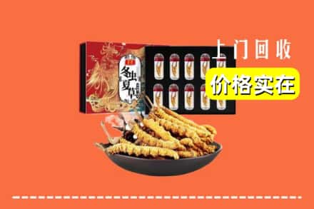 镇江市扬中回收虫草